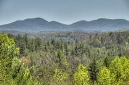 Paradise Ridge