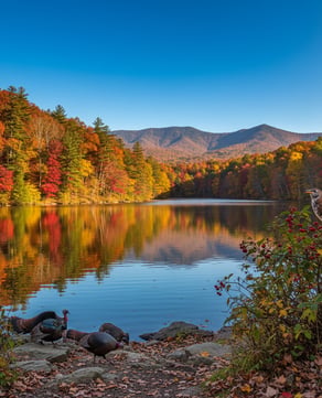 Vogel State Park