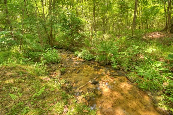 Bear Creek Lodge