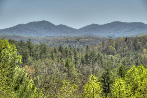 Paradise Ridge