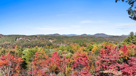 Peaks & Pines