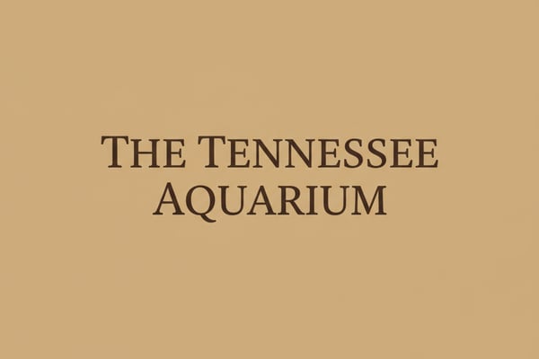 The Tennessee Aquarium