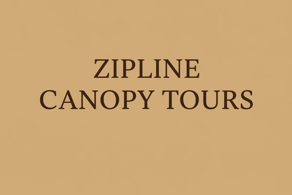 Zipline Canopy Tours