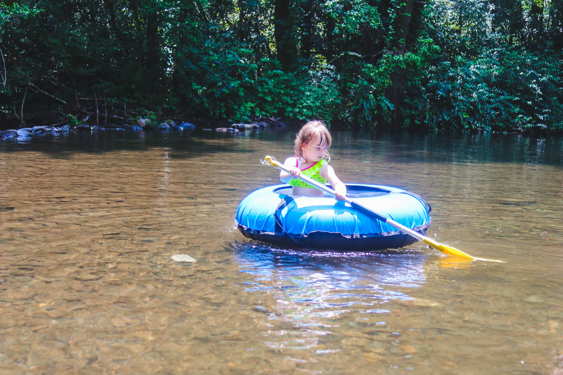 Explore North Georgia Activities & Attractions